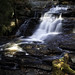 Don Potts Photo 11