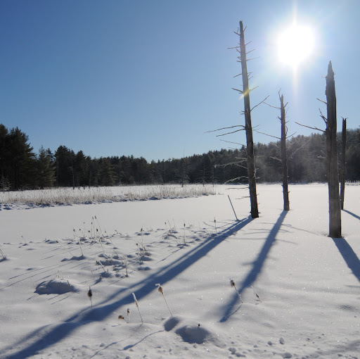 Bob Levin Photo 1