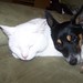 Terrie Fox Photo 15