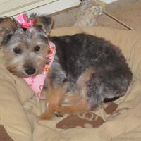 Brenda Spaulding Photo 24
