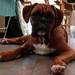 Ruby Wash Photo 4