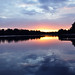 Ray Albright Photo 15