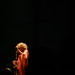 Alison Beck Photo 34
