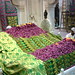 Ali Sharif Photo 20