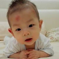 Shih Chang Photo 24