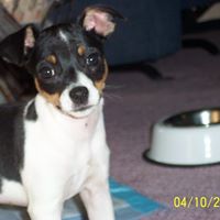 Tracy Bunker Photo 18