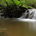 Tom Mcdowell Photo 26