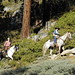 Terri Russell Photo 19