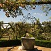 Lacey Wells Photo 16