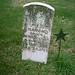 Robert Craven Photo 25