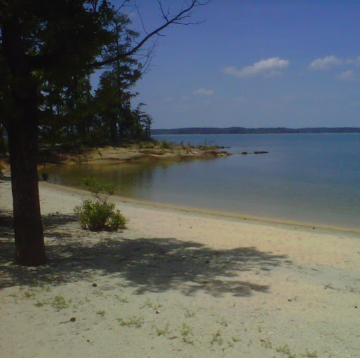 Jeff Rowe Photo 15
