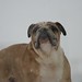 Frank Buford Photo 12