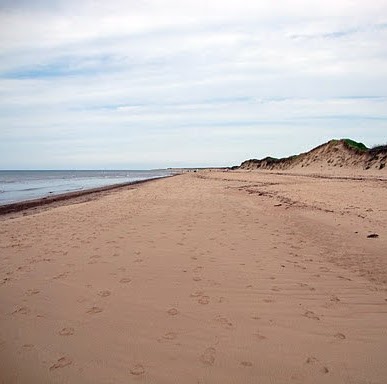 Anne Clements Photo 14