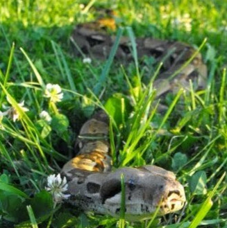 Michael Heil Photo 39