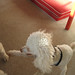 Bobby Archie Photo 13