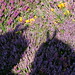 Heather Horn Photo 28