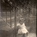 Rosemary Cariello Photo 5