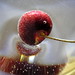 Debbie Cherry Photo 38