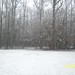 Robin Spann Photo 9