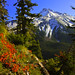 Jefferson Cartwright Photo 6