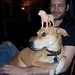 Rex Tanner Photo 8