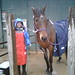 Heather Tierney Photo 14