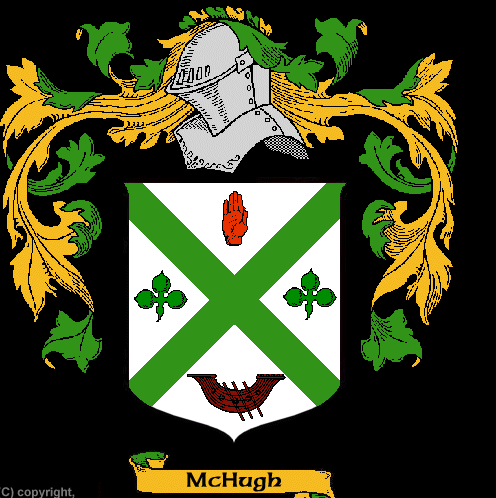 Kevin Mchugh Photo 19