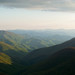 Roy Taylor Photo 37