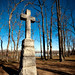 Thomas Rolfe Photo 12
