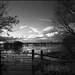 Russel Wallace Photo 16