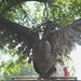 Angel Mendoza Photo 16