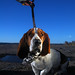 M Hackett Photo 5
