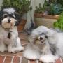 Judy Cody Photo 24