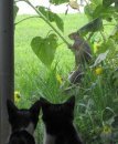 Sharon Bowman Photo 28