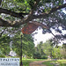 Joyce Mcdaniel Photo 15