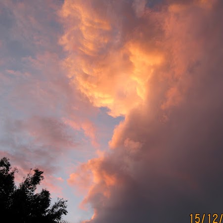 Barbara Munro Photo 12