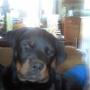 Kevin Hunt Photo 6