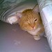 Dexter Burrow Photo 3