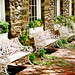 Virginia Small Photo 9