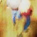 Rosemarie Gray Photo 21