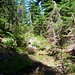 Heather Loop Photo 16