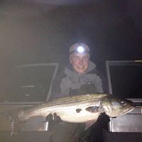 Michael Mcneilly Photo 22