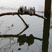 Ryan Bird Photo 34
