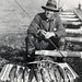 Frank Trout Photo 17