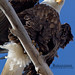 Don Daugherty Photo 22