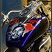 Jorge Guevara Photo 12