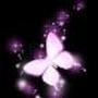 Qin Li Photo 38