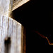 Rusty Cole Photo 29