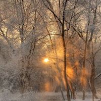 Kaye Ross Photo 35