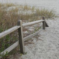 Frances Speight Photo 5